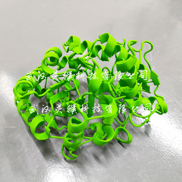 3D打印Cartoon样式的水解酶晶体结构模型